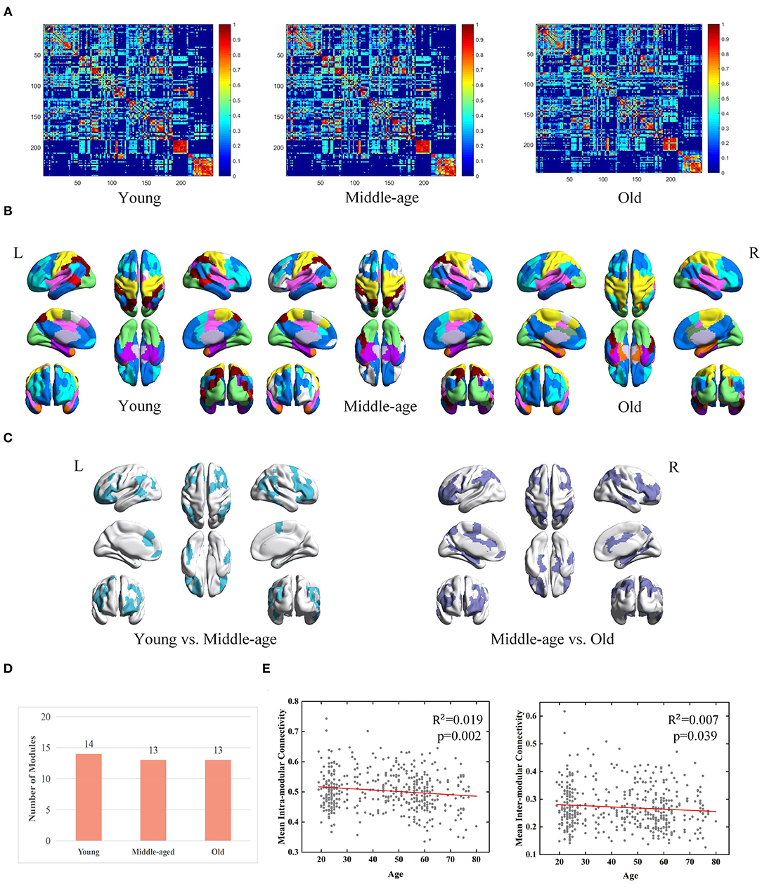Age-associated differences of modules and hubs in brain functional networks