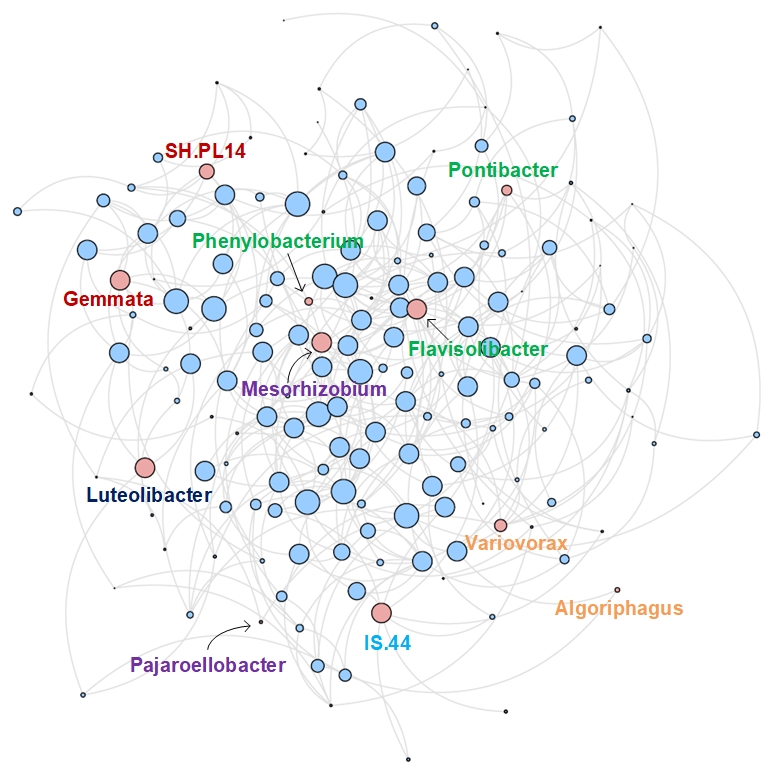 gFlora: a topology-aware method to discover functional co-response groups in soil microbial communities